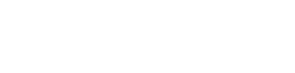 Nessis Inc Logo